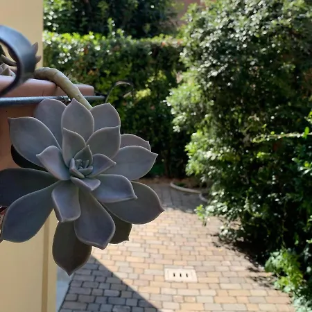 Casa Ardizzoni 招待所