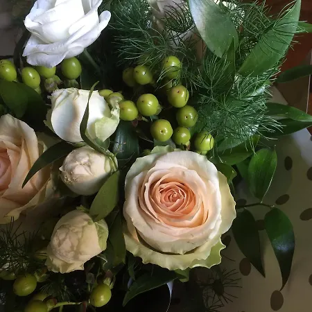 Casa Ardizzoni 4* 博洛尼亚