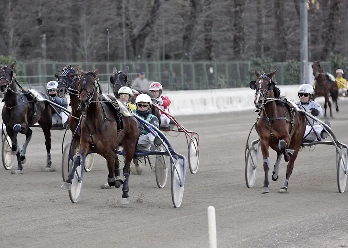 Guest house Casa Ardizzoni Bologna