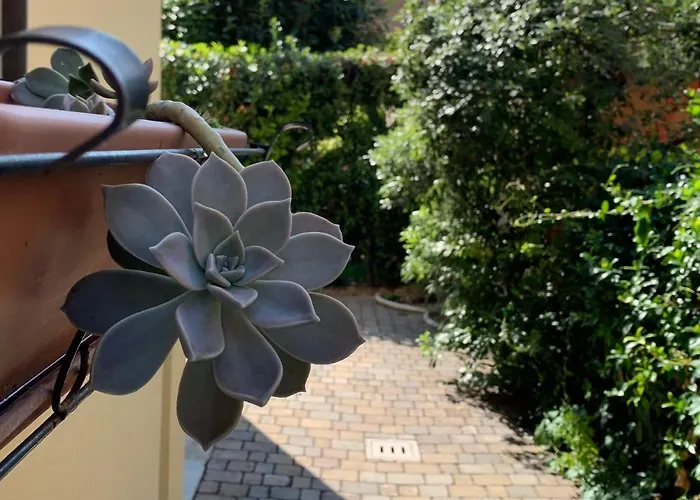 Casa Ardizzoni 게스트하우스