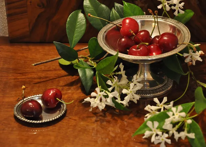 Casa Ardizzoni 볼로냐