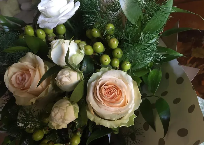 Casa Ardizzoni 4* 볼로냐