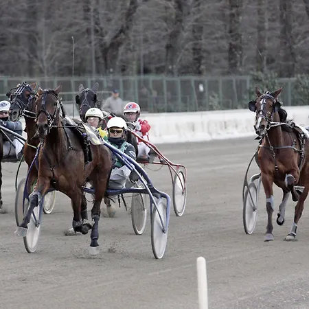 ゲストハウス Casa Ardizzoni ボローニャ