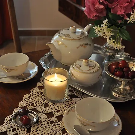 ゲストハウス Casa Ardizzoni ボローニャ